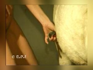 Knotty: Love Lotion - Bestialidad Canina Brutale