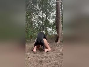 amante sauvage dog  - vidéos hardcore