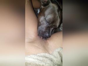 labbra sporche leccano il suo cane