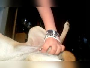 Amateur Dog 6 - Baise Fille Chien
