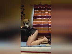 Milly Foca al Perro 2