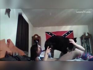 Icedone Dog Sex Hardcore