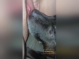 besos animales extremos