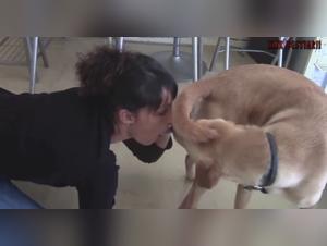donna e cane sesso bestiale