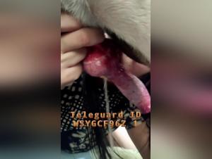 Sirila Teaser: Dog Sex with Woman