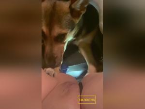 Hunn Sukker Hund - Ekstrem Porno