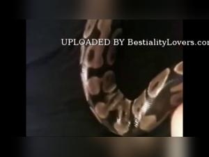 Milly und der Hund: Teil 1 - Extreme Ride