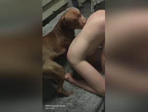 Polish Girl Dog Sex Tryst Part 1
