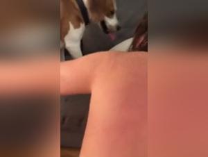 Video Bestiale Totale
