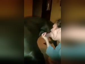 Slut Doggy Style Fuck