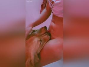 hund wilderlust, verbotenes vergnugen