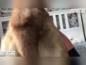 katty vest djöfn hundsegras