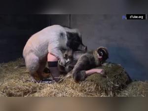 Yasmin - Hunde Sex Hardcore Teil 2