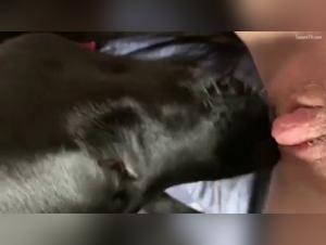 Bitch Fucked by Dog - Extreme XXX