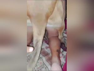 tierliebe erotik deluxe
