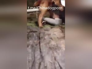 estudiante china, placer animal salvaje