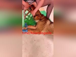 moglie contadina asiatica, piaceri con cane
