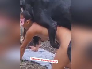 legato al cane per sesso brutale: video hardcore