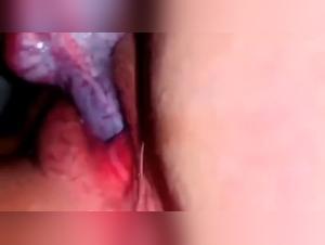 Milly e il Cane Parte 1