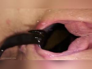 Filles baisent chien, Leeches extreme