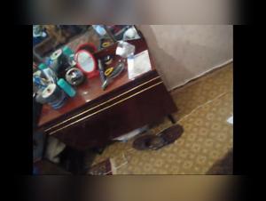 Filles Teens Chien Baise - Extreme XXX