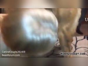 Hund Fick Action mit Dildos