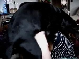 Salope Latina baise Chien Part 2