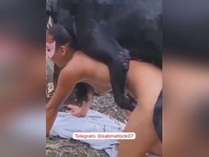 Mating Salvaje, Perro y Mujer