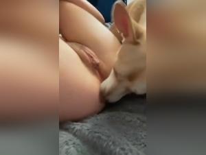 abitudini animalesche esplicite
