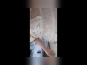 Zoo Art Proibito: Scoppio con Cane, Video Hot