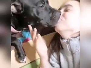 zoophilia hardcore: sesso bestiale sfrenato