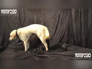 Milly baise son chien Partie 1