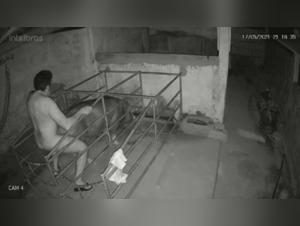 IP Cam: Bitch Fucked by Dog LIVE