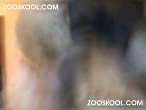 Girl Dog Fuck Session 1