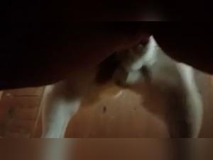 Slut Gets Dogged, Extreme Passion