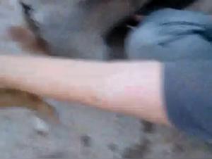 Milly Baise Chien Vidéoğren 1