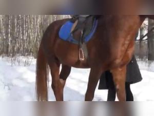 Katya TeamRussia fa sesso con cavallo