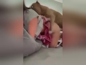 Chica Dominada por Perro Salvaje - Parte 1