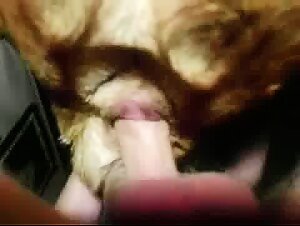 Tier-Sex Akt: Hund-Beischlaf & Sauerei