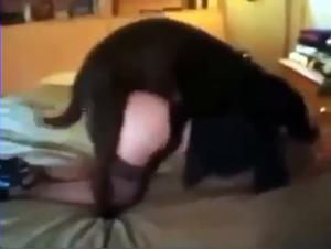 þjóðarþróðleg gleði