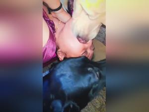 Woman Dog Sex