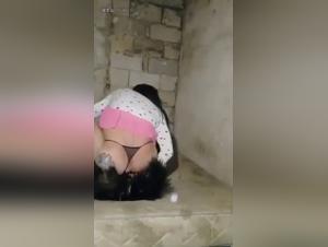 Hund Bónnar Kvinnufólk Hard