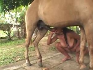 Mature Stallion Sex Woman Extreme