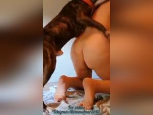 Chienne baise hardcore: vidéos XXX dog