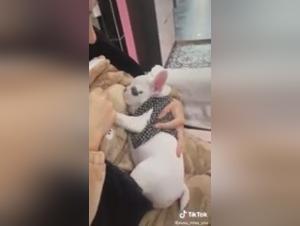 Asian Shemale Feeds Her Dog, Extreme XXX Part 1