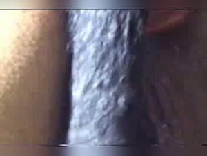 Salope baise chien 2