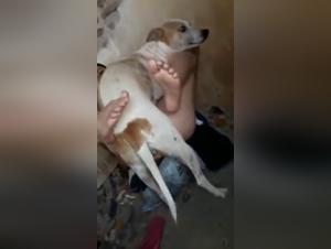 ung flicka sex med hund rått