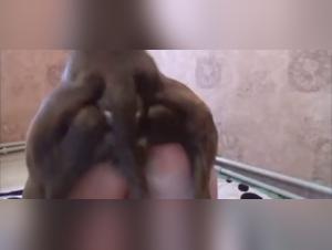 TeleGram-cindyknine: wilder Tiersex-Träume
