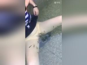 Seductive Woman Dog Sex Xvideos