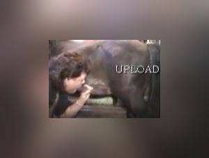 MAD-16: Animal Sex Glory Quest - Extreme